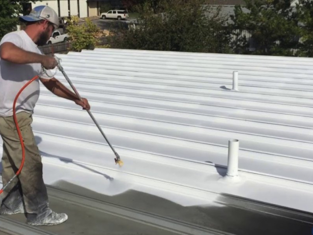 Care for Your Roof